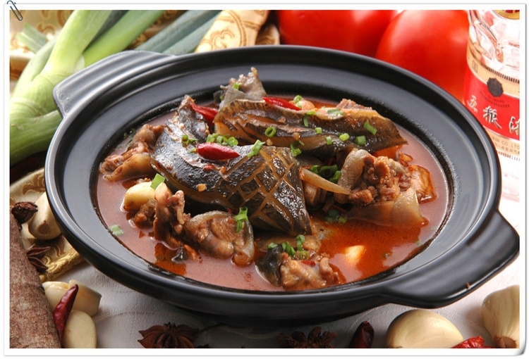 甲鱼   圣甲归来